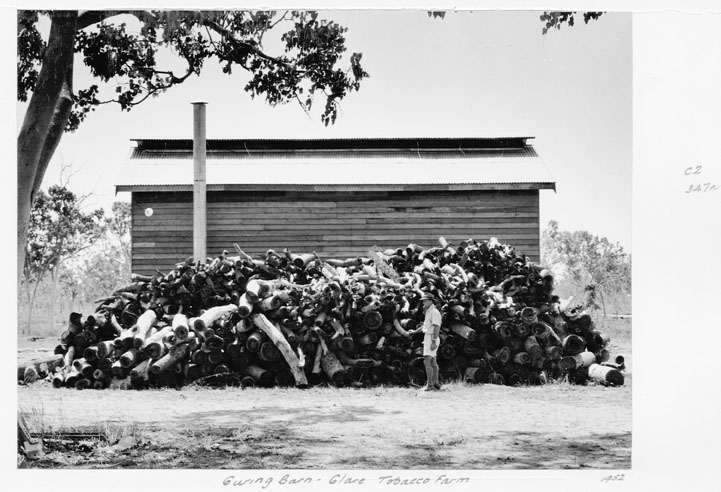 Tobacco Farm