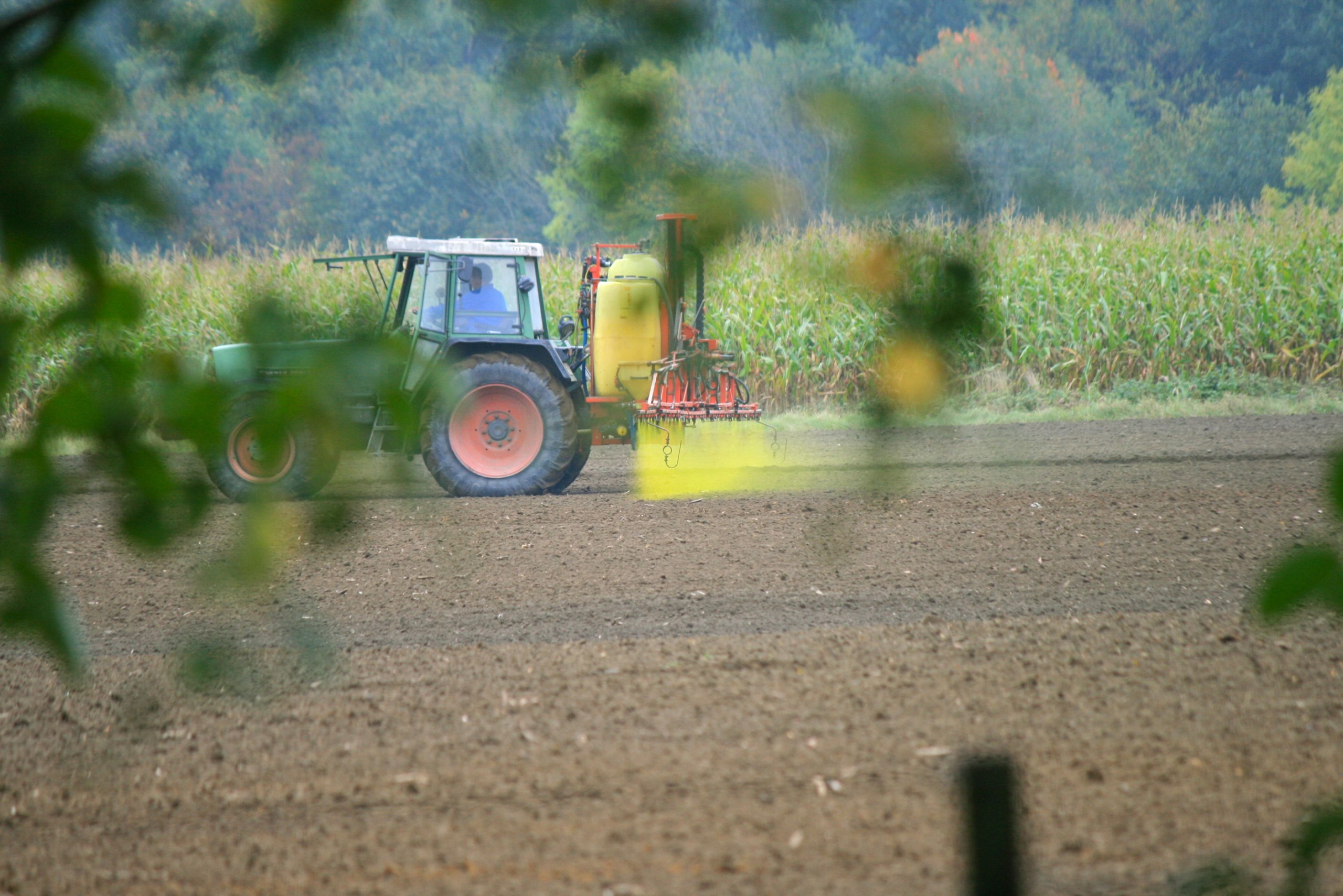 Tobacco Farm