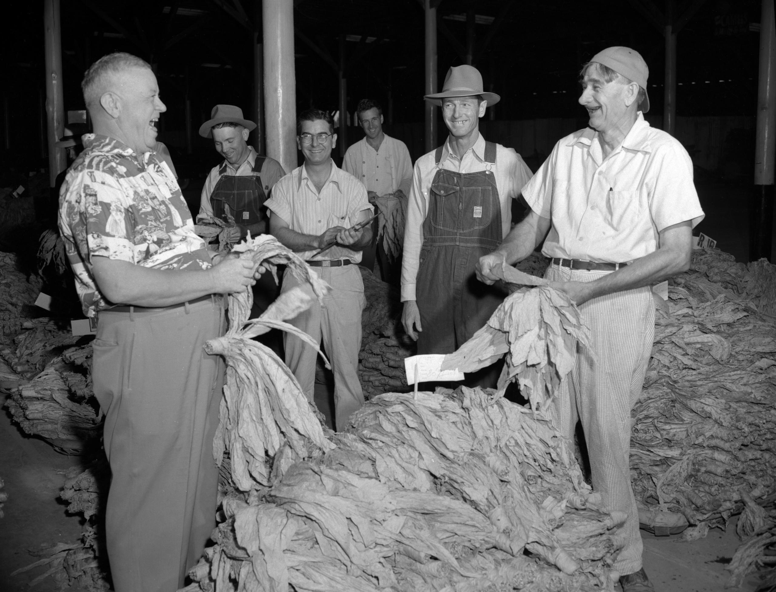 14 Things That Were Normal on a Tobacco Farm in 1958 That No Operation Could Do Today