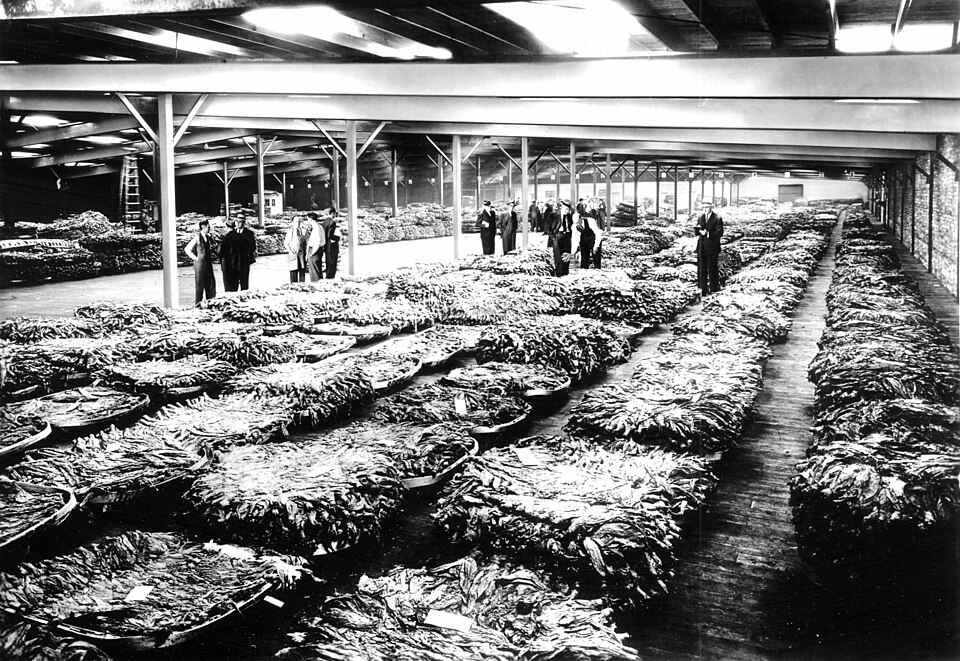 Tobacco Farm