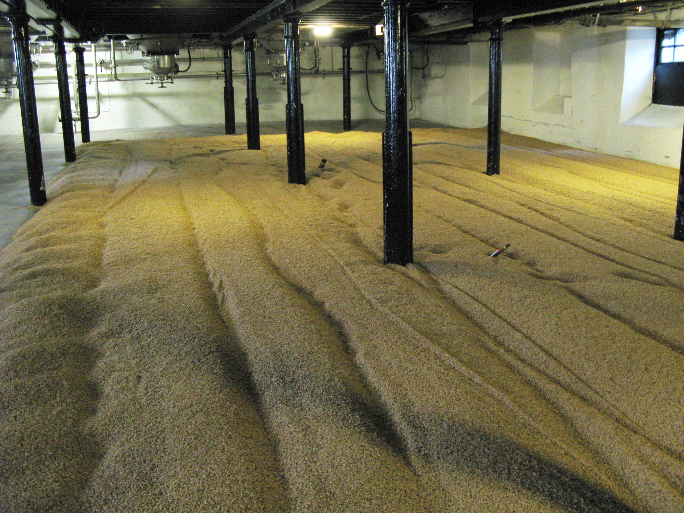 10 Things That Were Normal in a Maltings in 1960 That No Modern Plant Would Be Allowed to Do