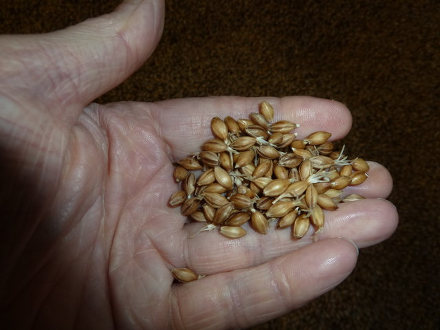 Maltings