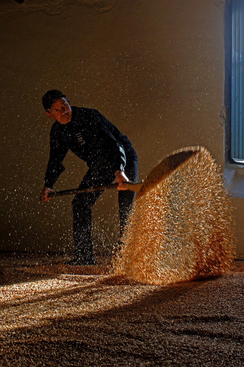 Maltings