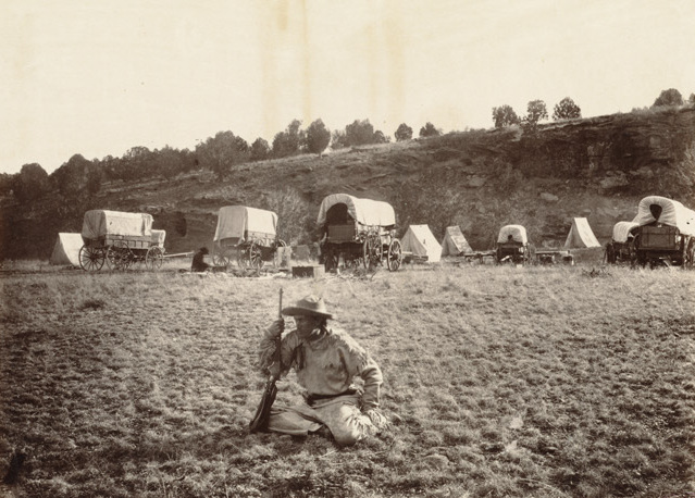 Land Surveyor