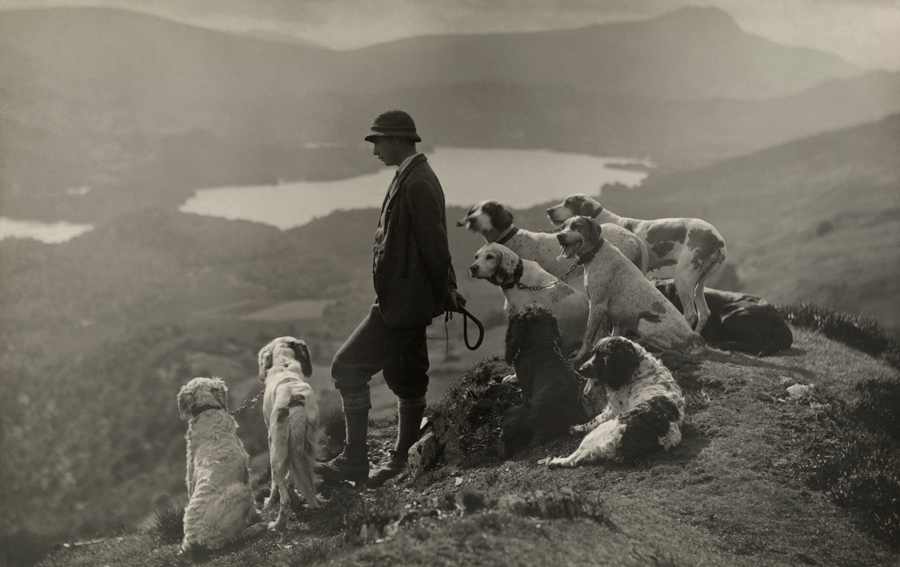 14 Things the Gamekeeper Did in 1960 That Are Now Criminal Offences or Tightly Licensed