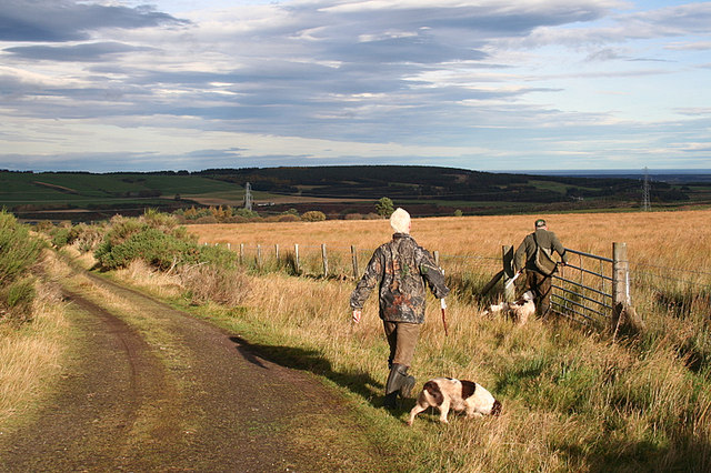 Gamekeeper