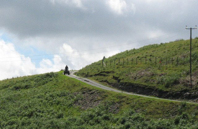 Shepherd