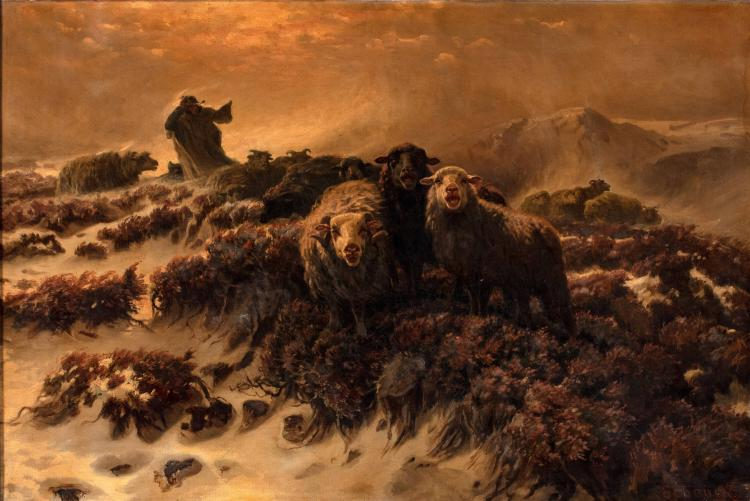 Shepherd