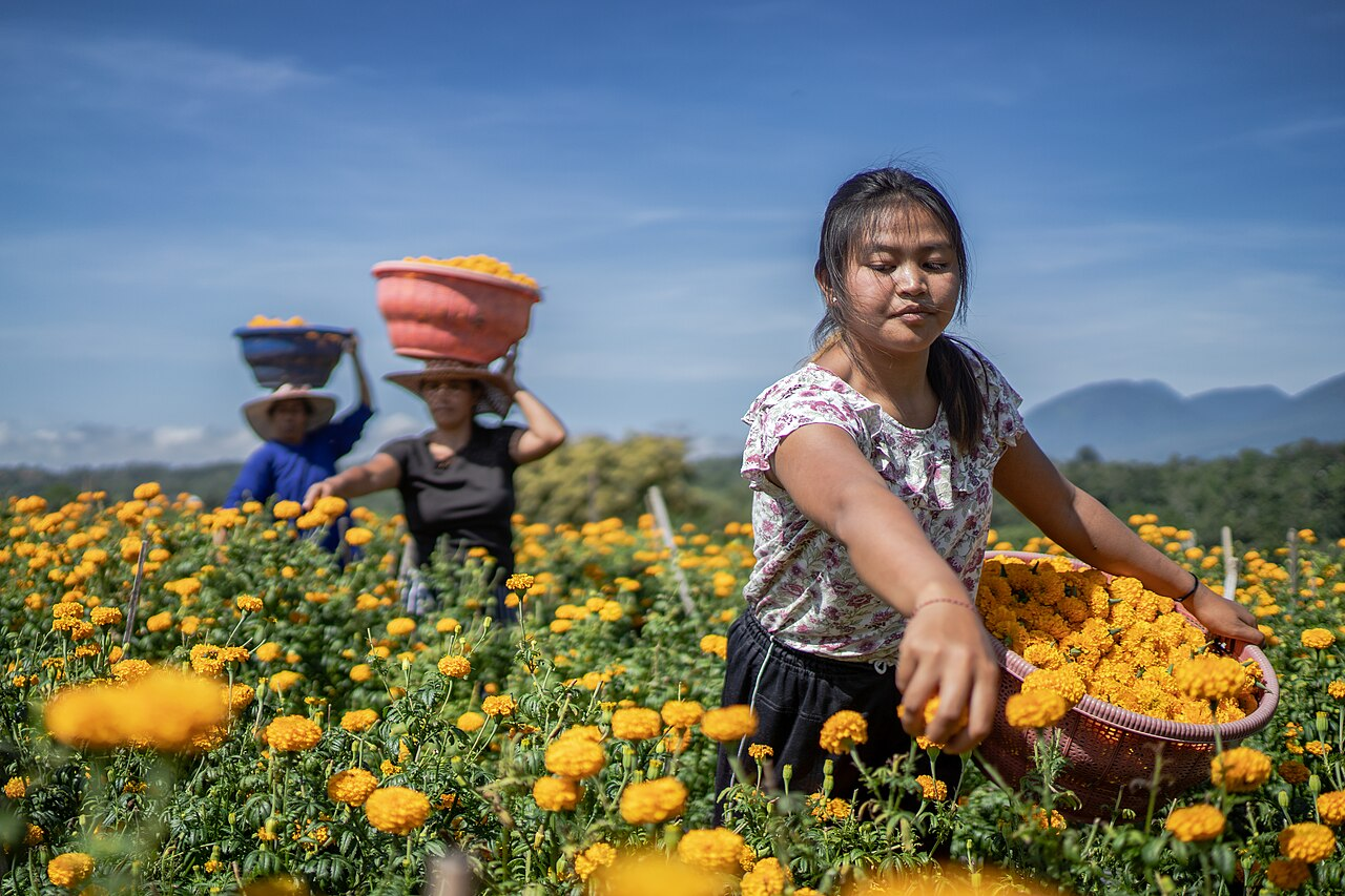 Flower Market