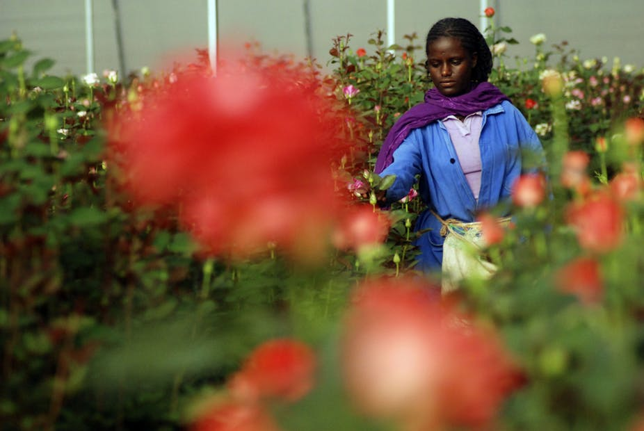 Flower Market