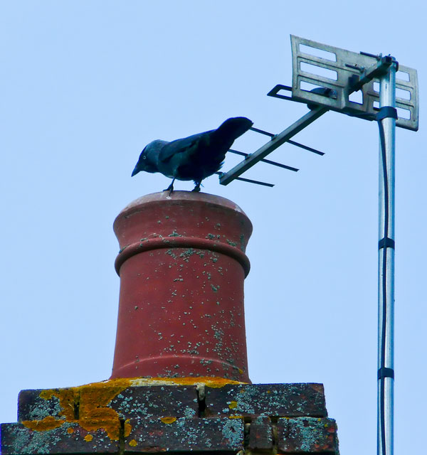 Chimney