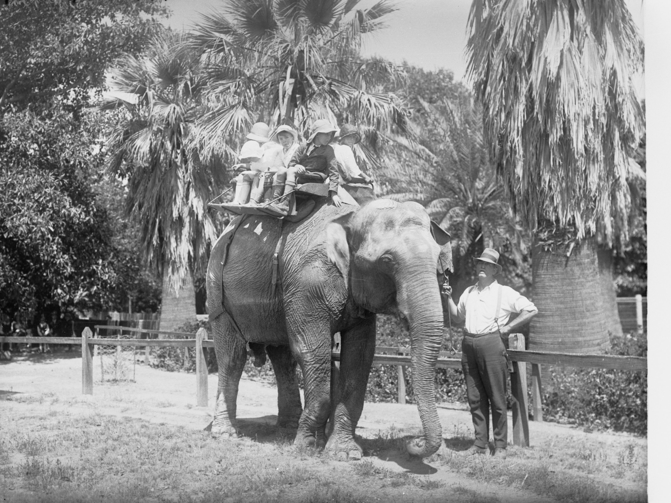 Zoo