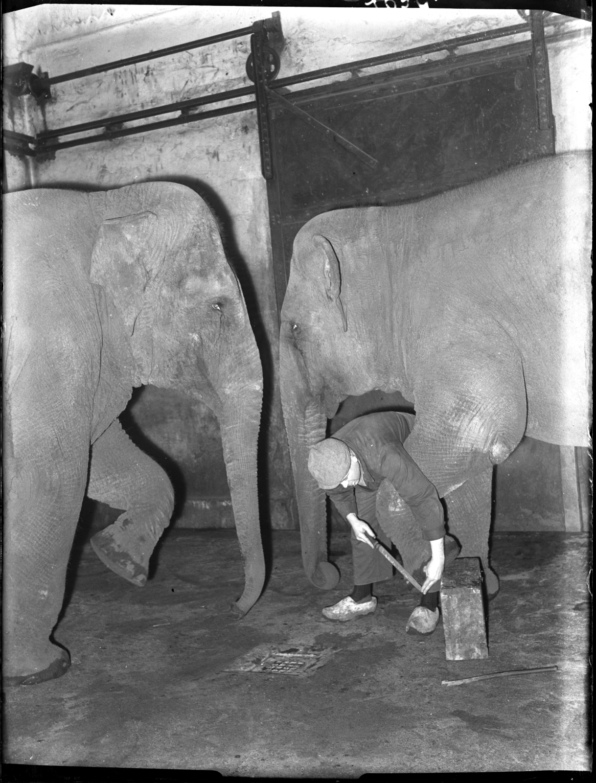 Zoo