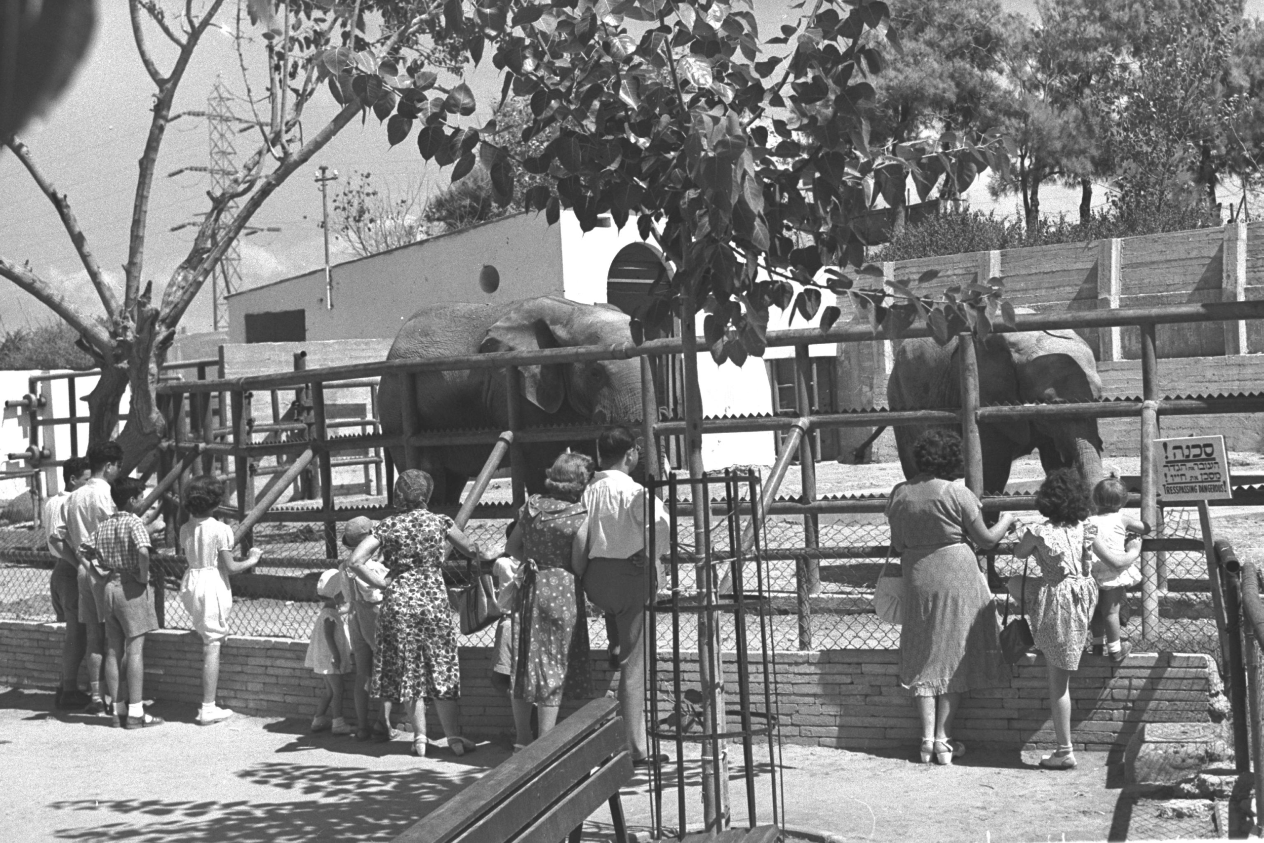 Zoo