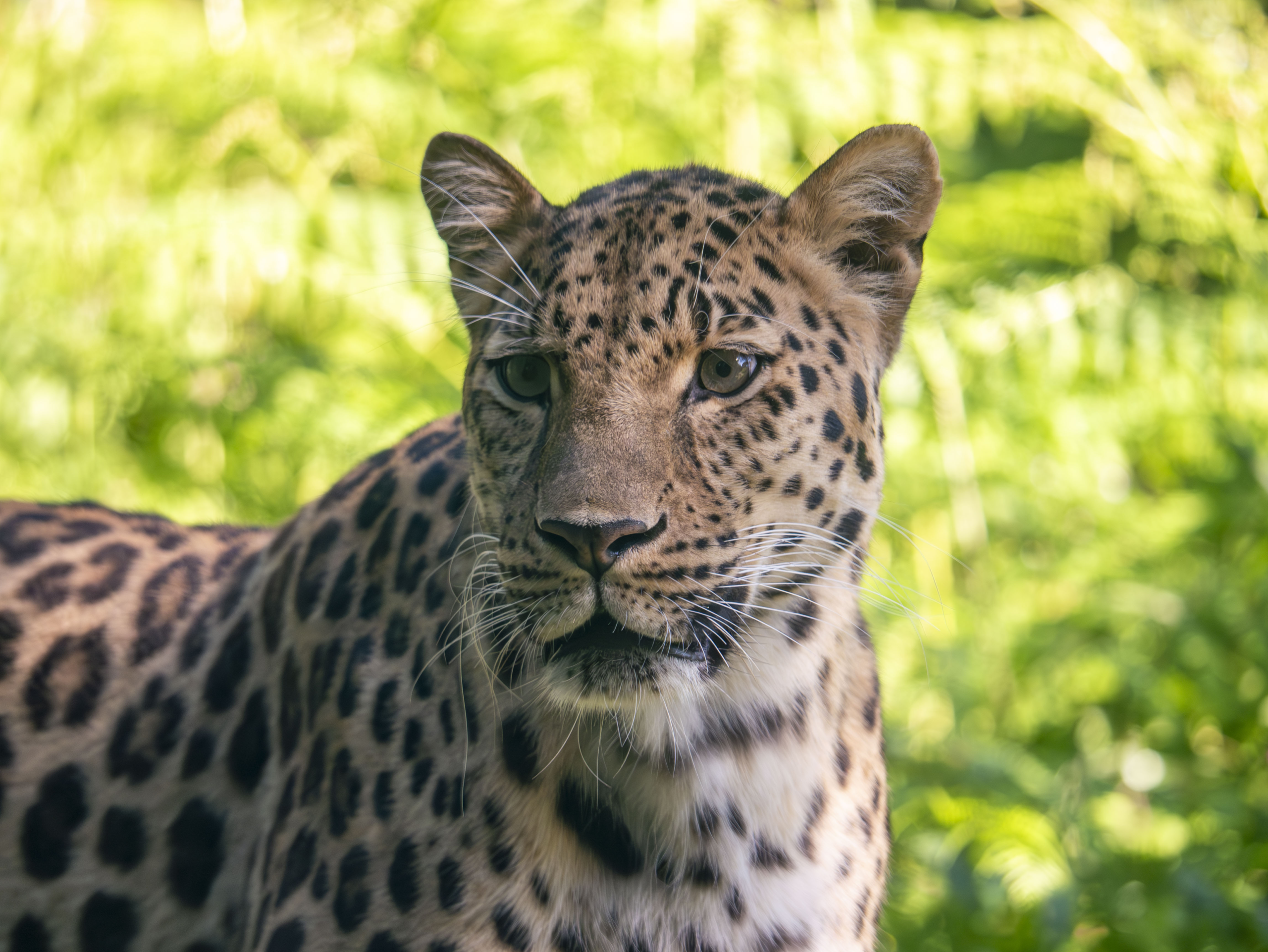 Zoo