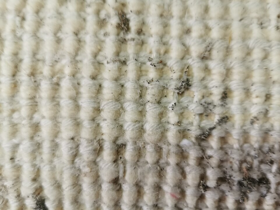Carpet Factory