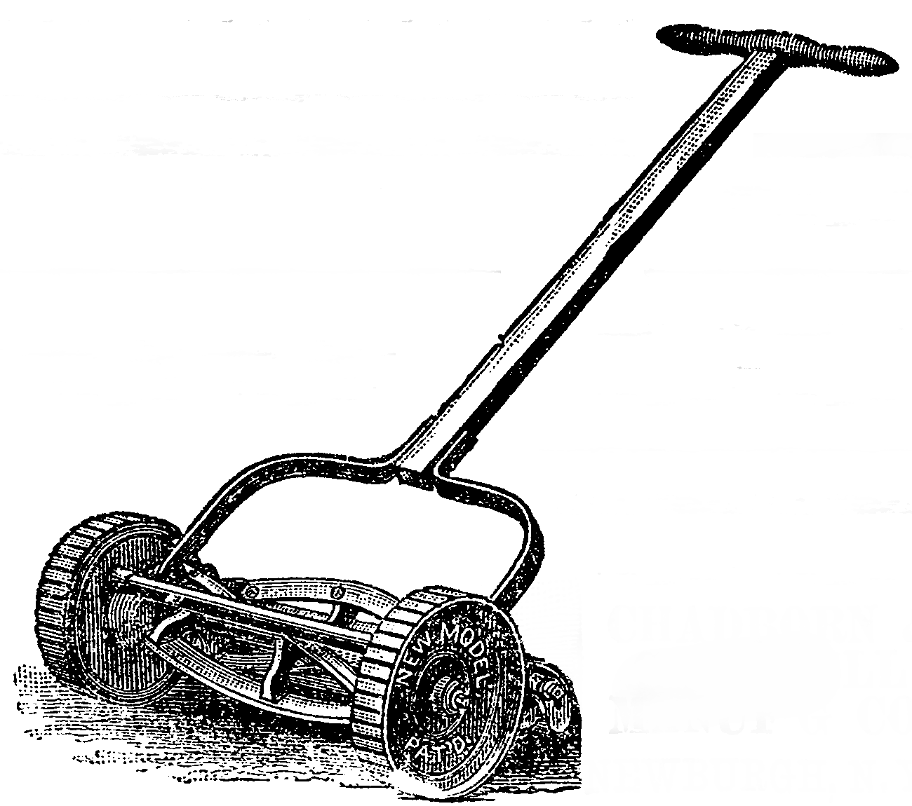 Lawn