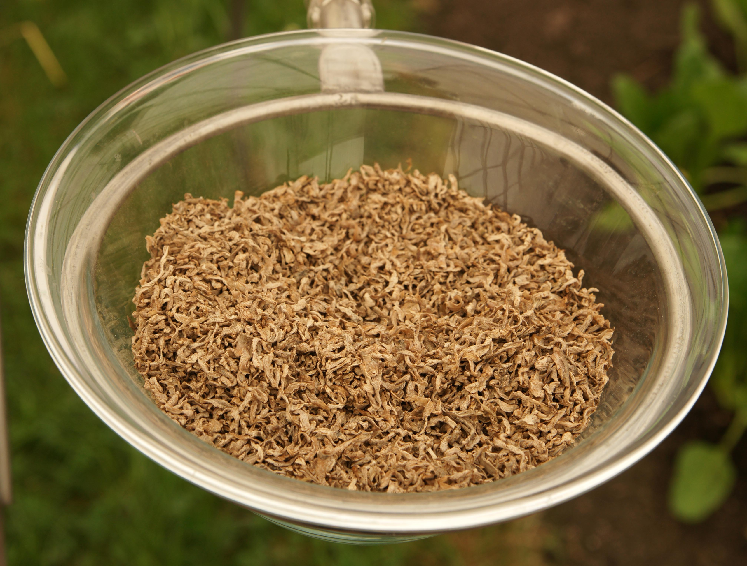 Sugar Beet