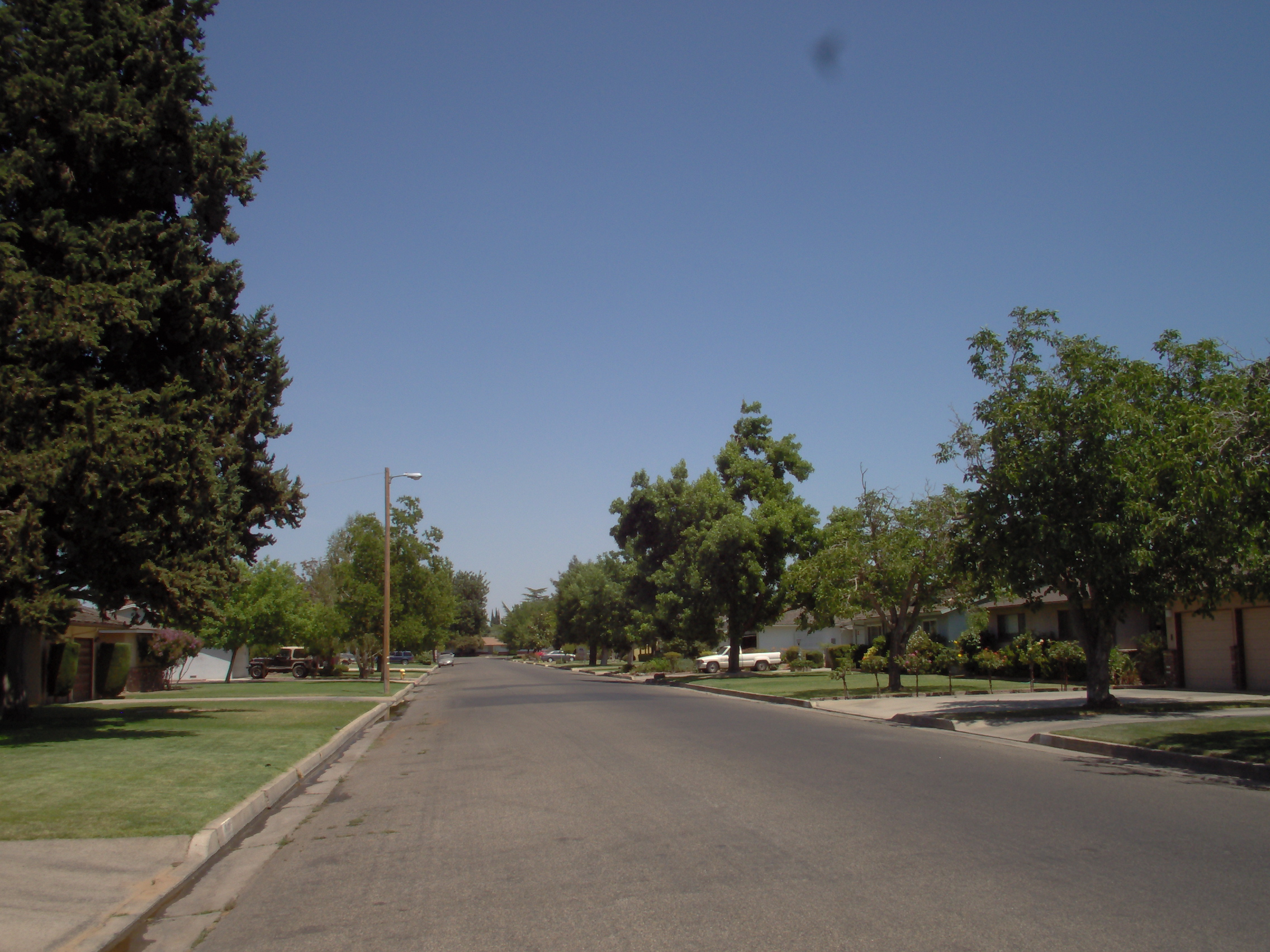 Lawn