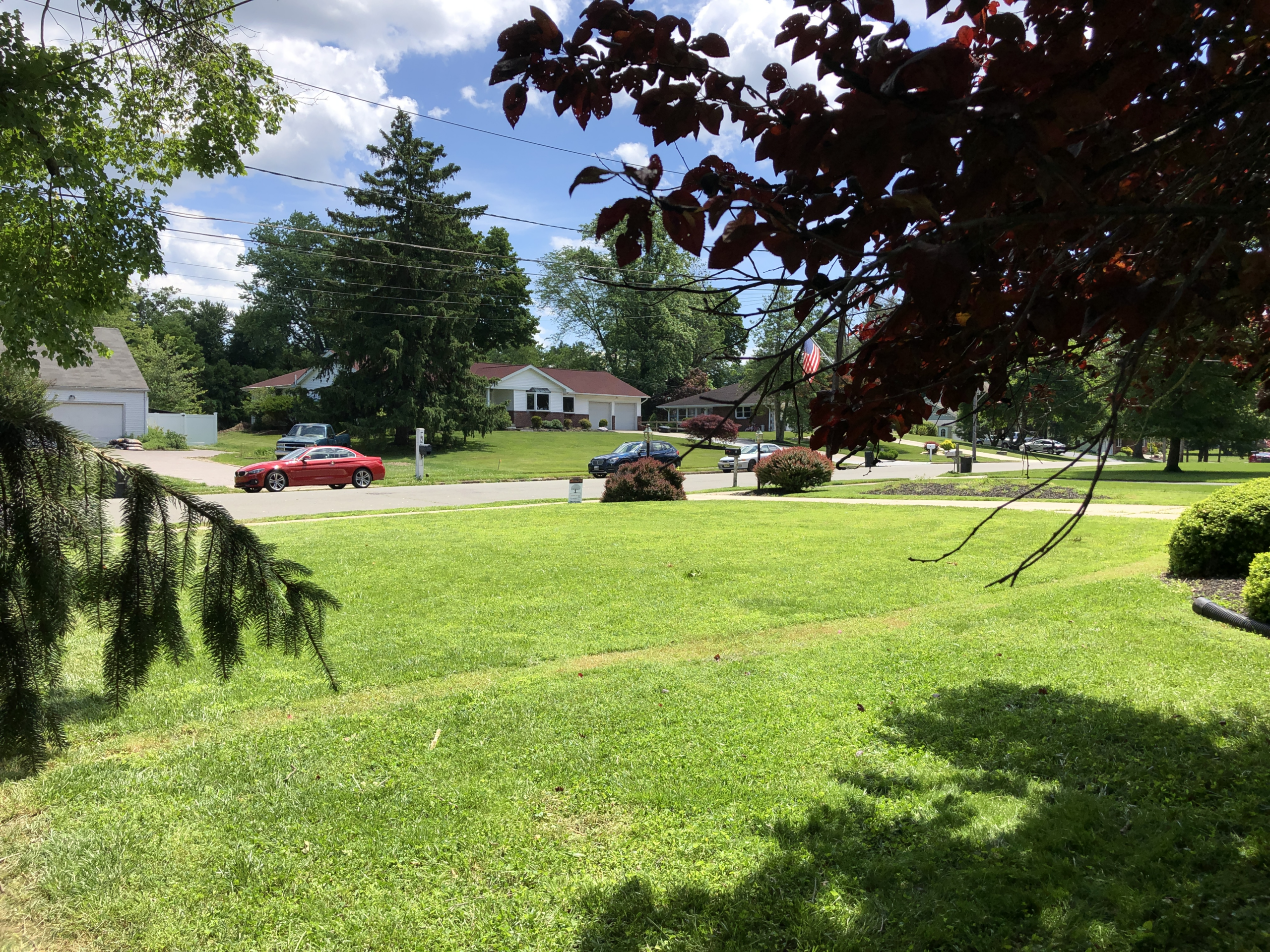 Lawn