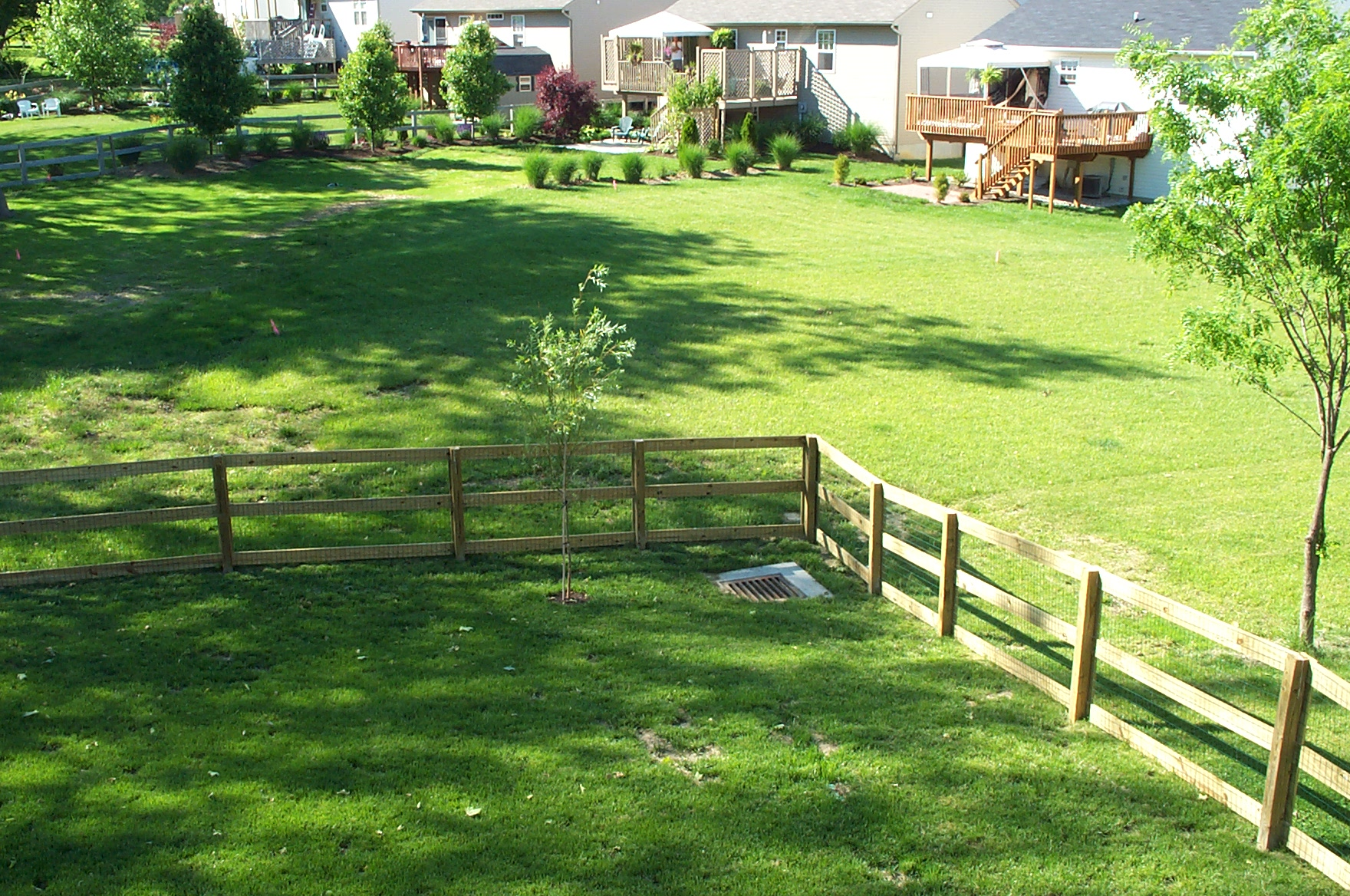 Lawn