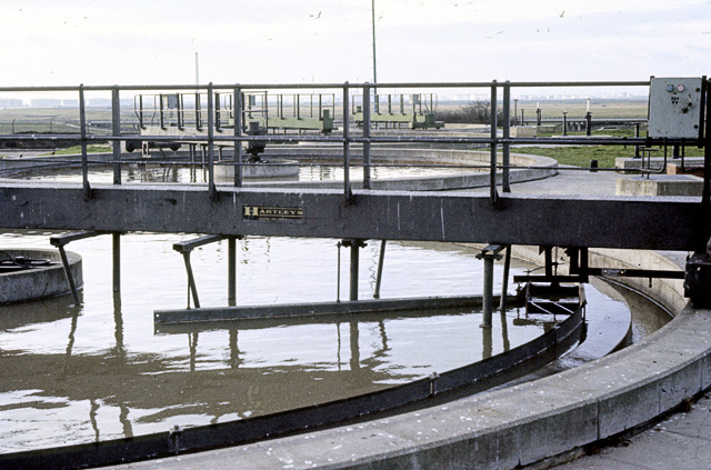 Sewage