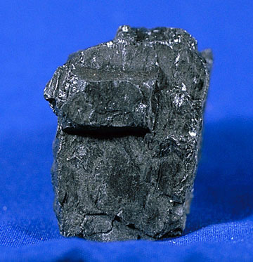 Coal