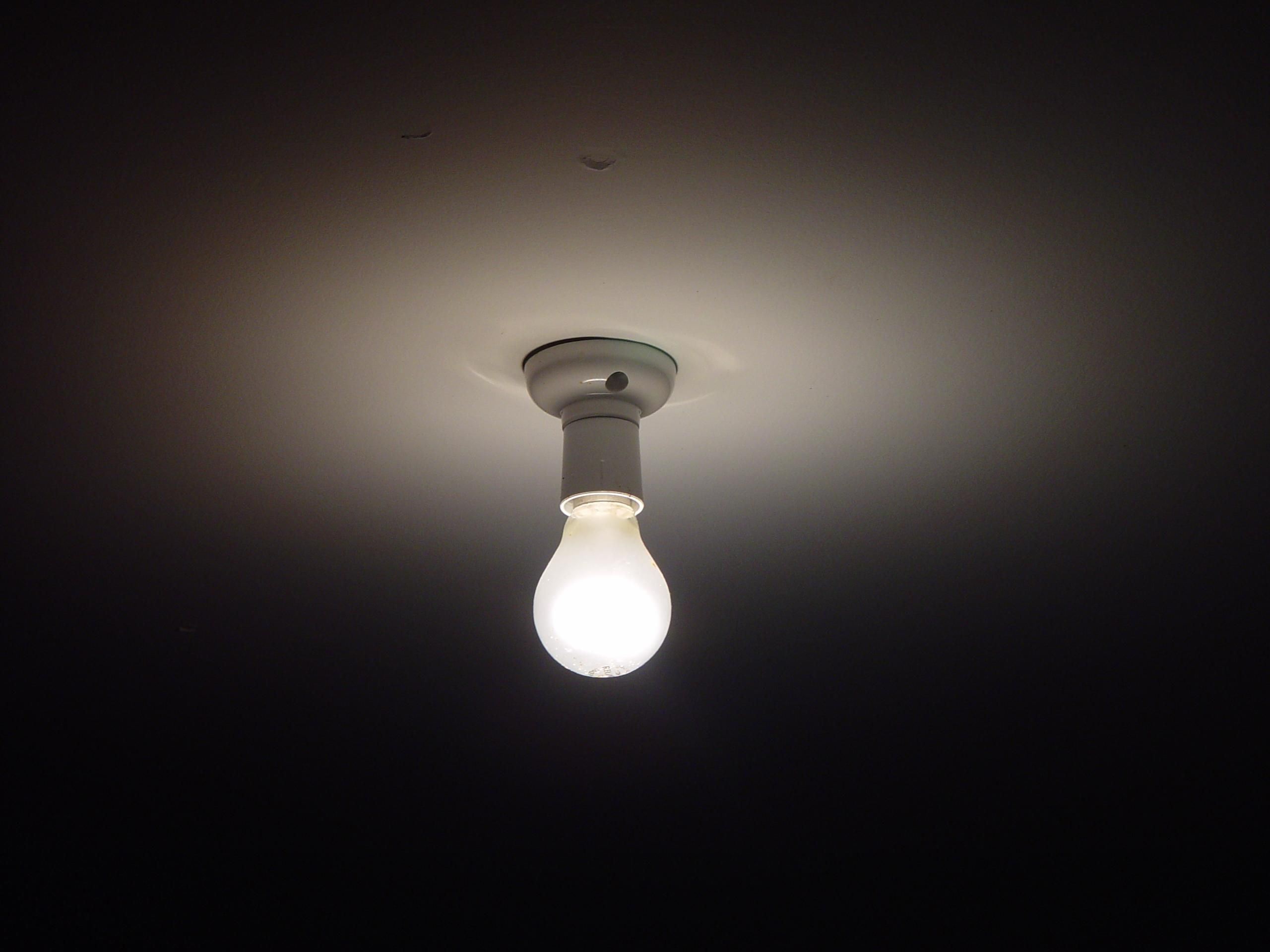 Bulb