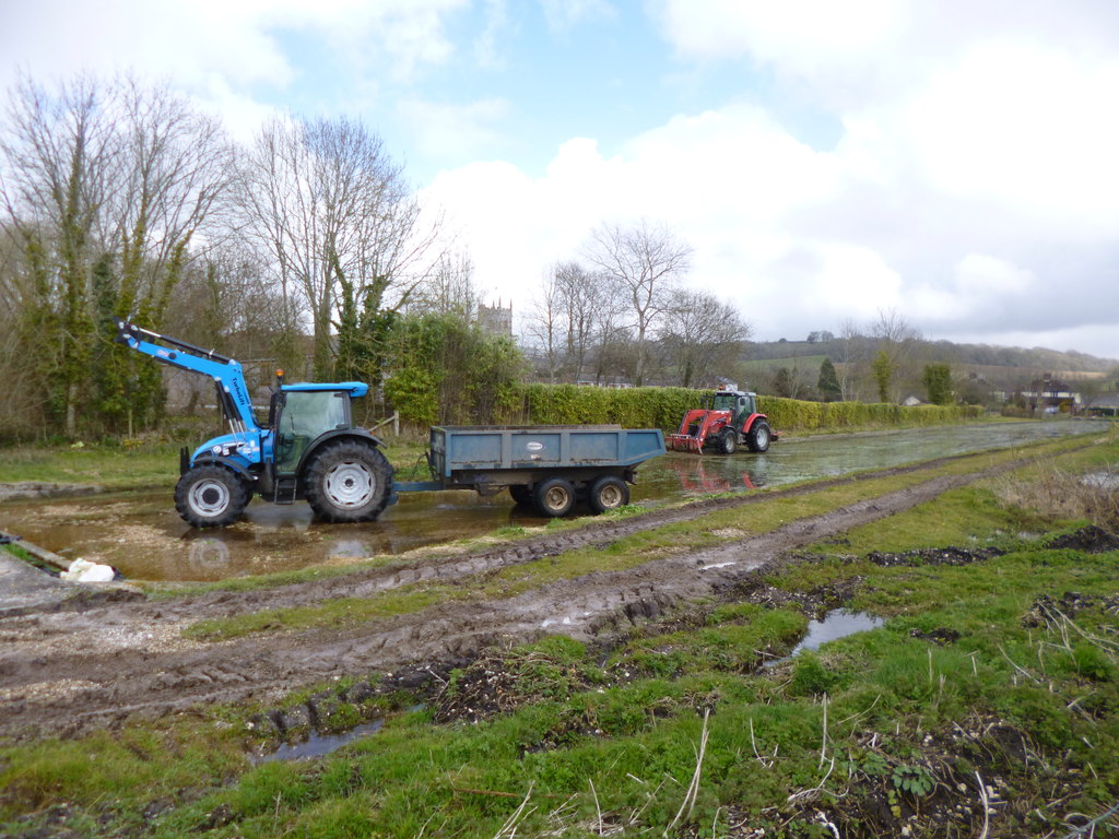 Watercress Farm