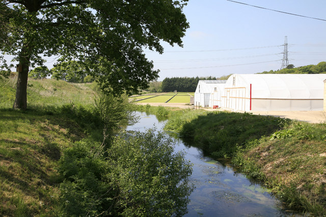 Watercress Farm