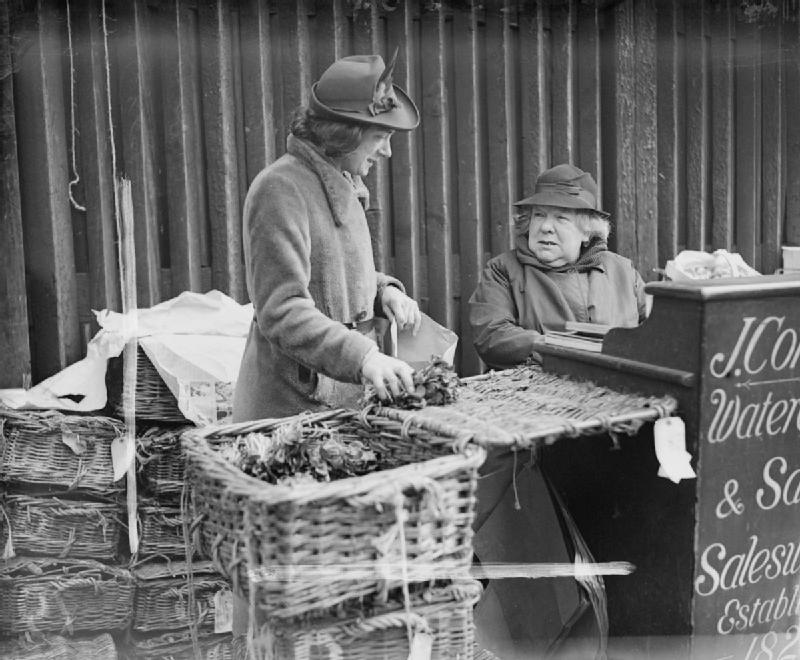 10 Things That Were Normal on a Watercress Farm in 1960 That Still Depend on One Spring