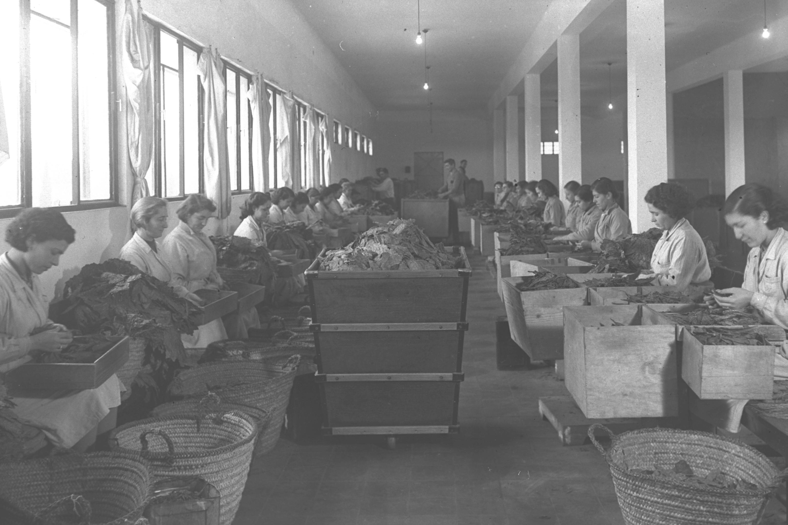 14 Things That Were Normal in a Tobacco Factory in 1960 That Regulation Has Since Removed Entirely