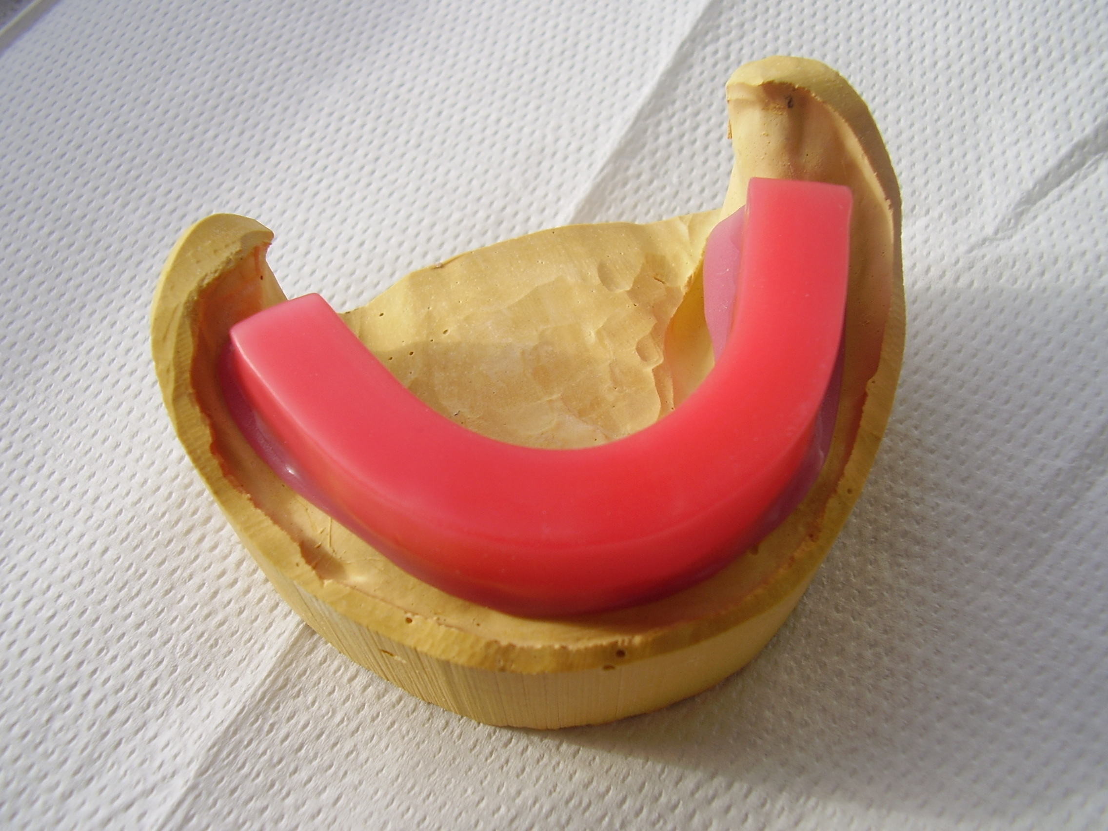 Dental Laboratory