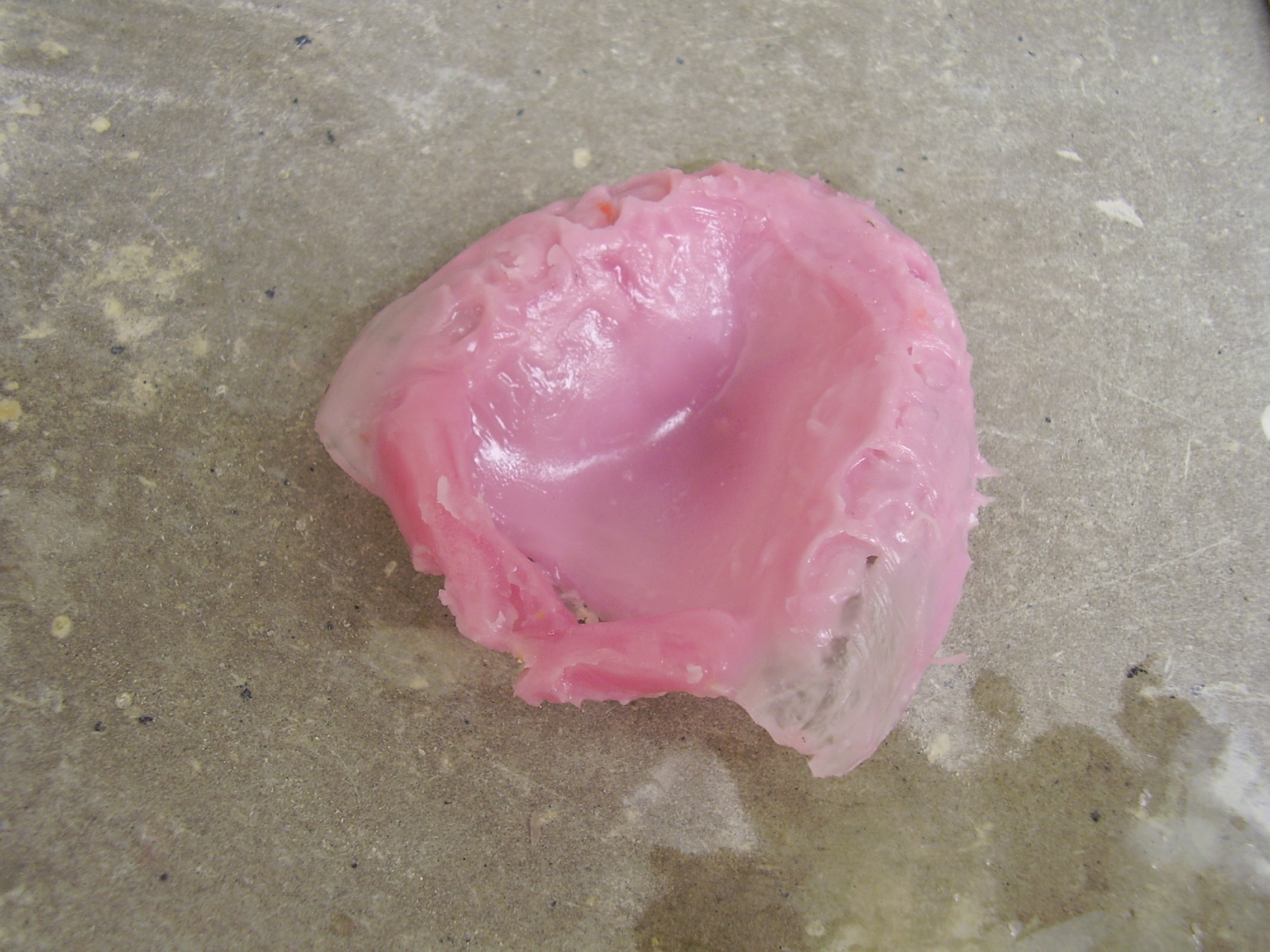 Dental Laboratory