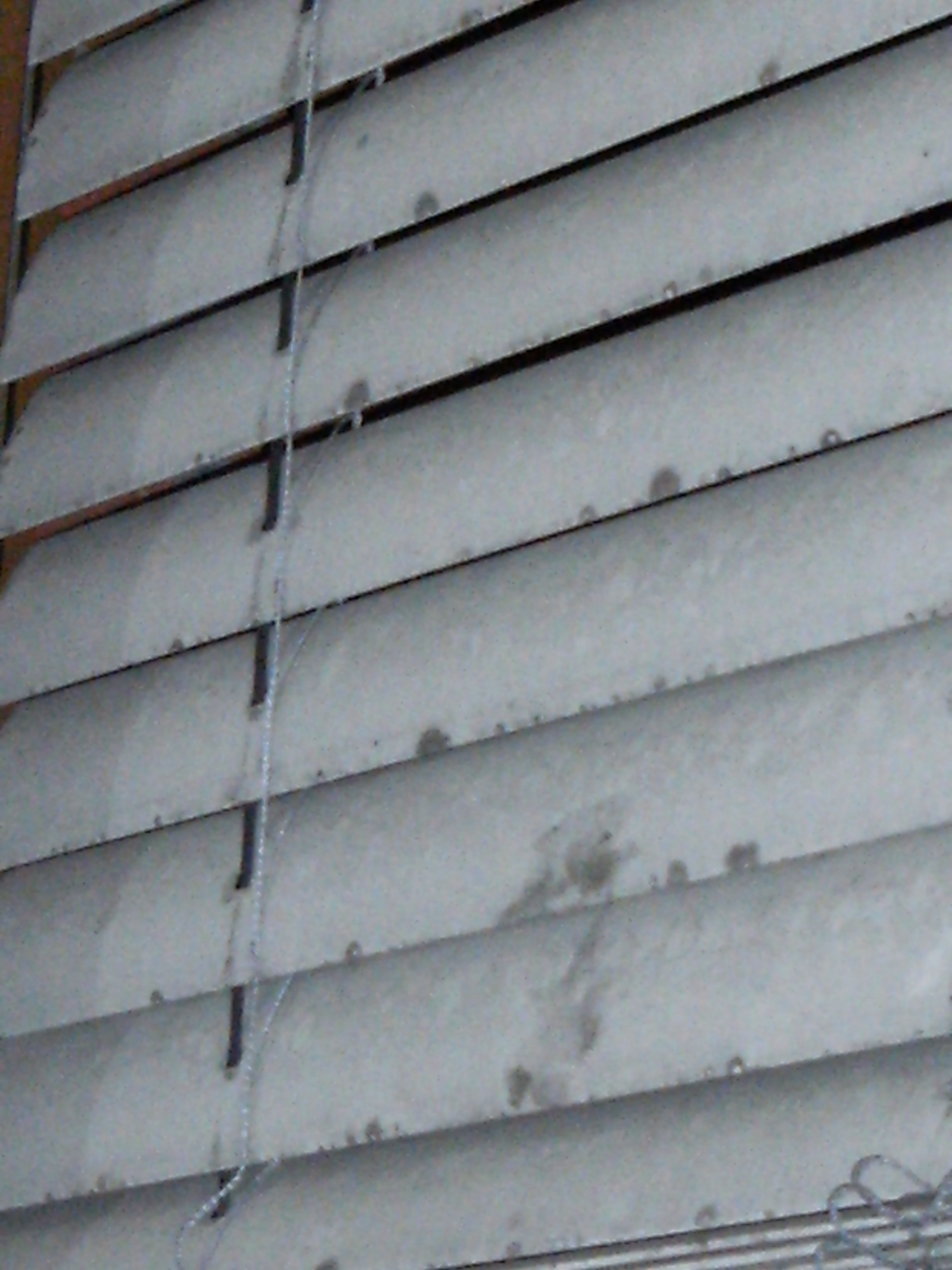 Venetian Blind Factory