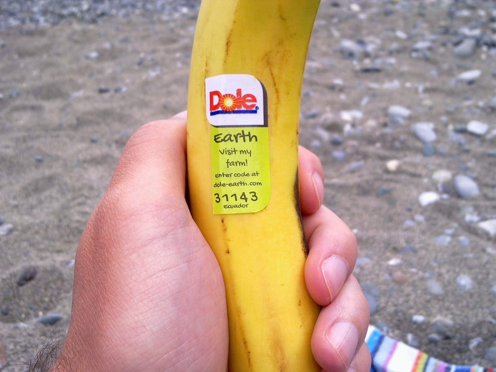 Fruit Sticker
