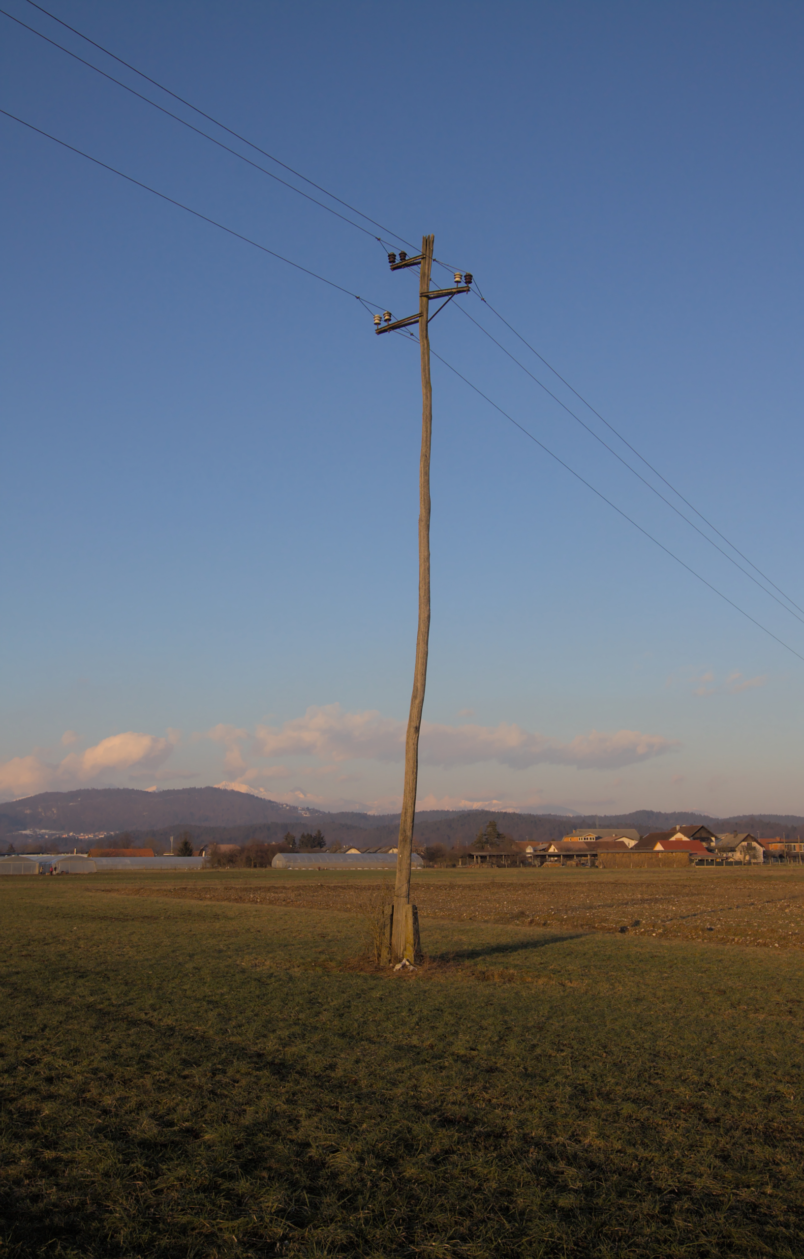 Phone Line