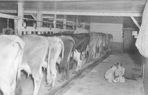 Dairy Farm