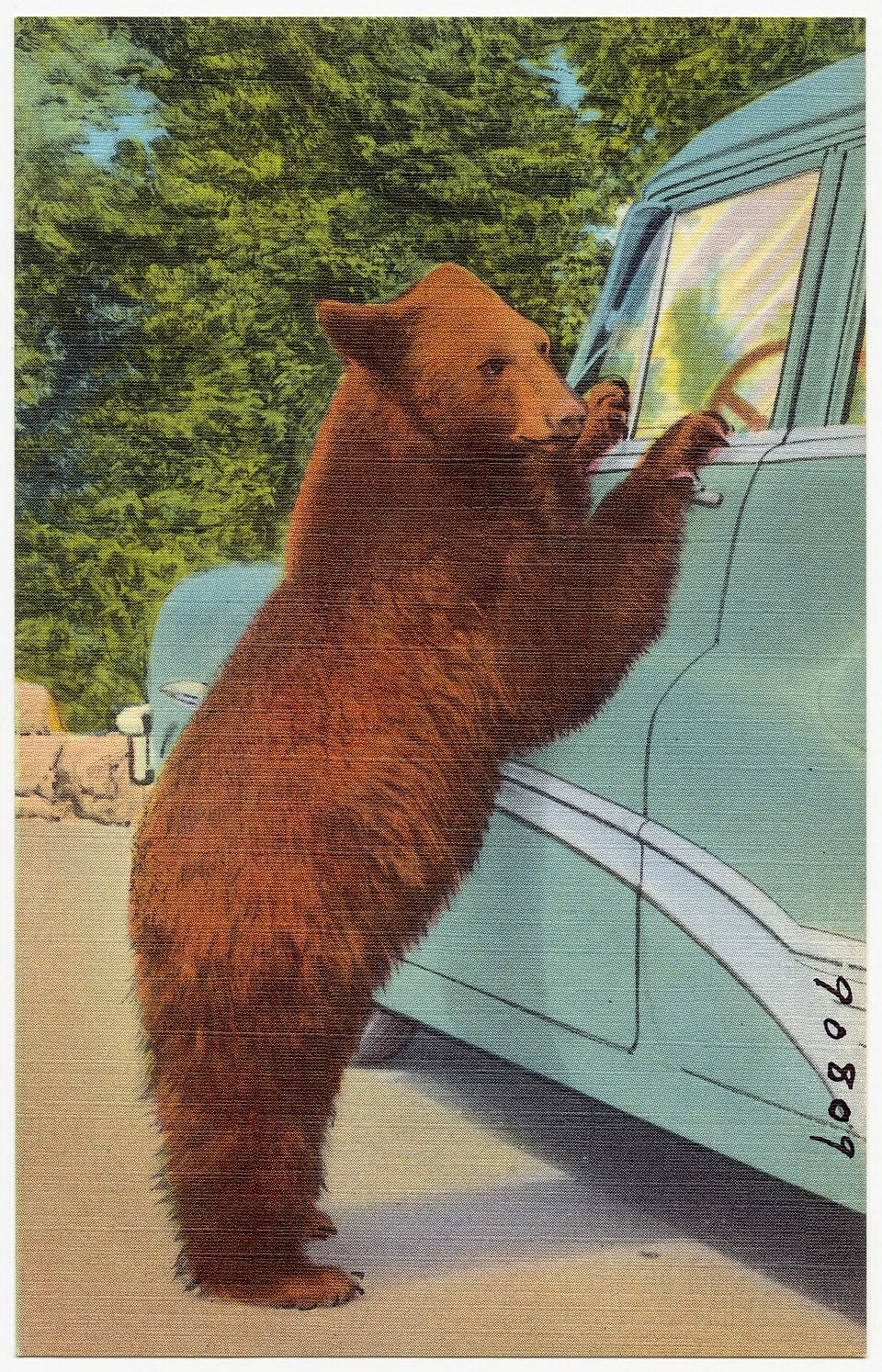 National Park