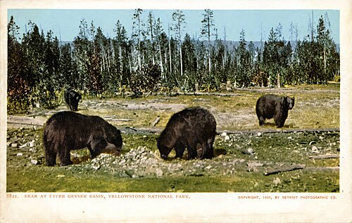 National Park