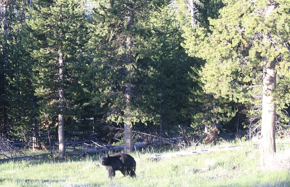 National Park