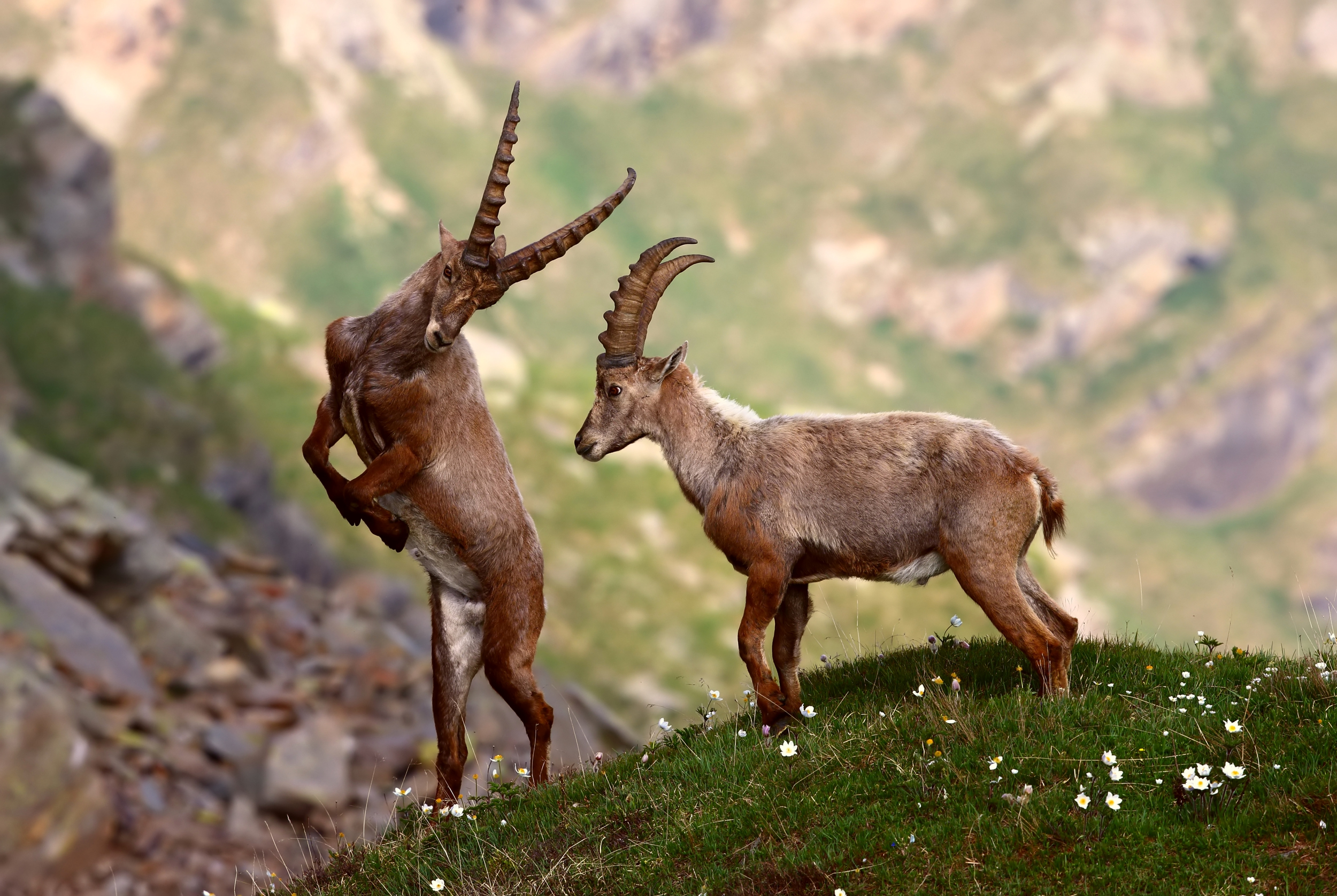 National Park