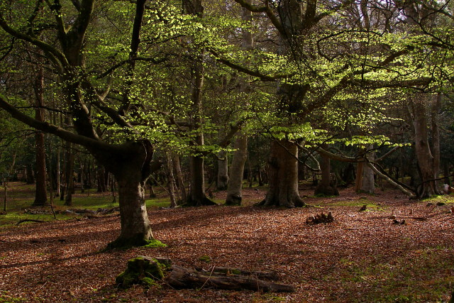 National Park