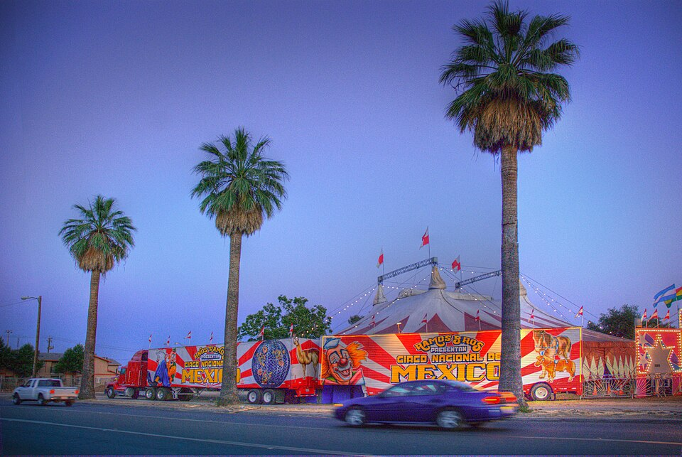 Circus
