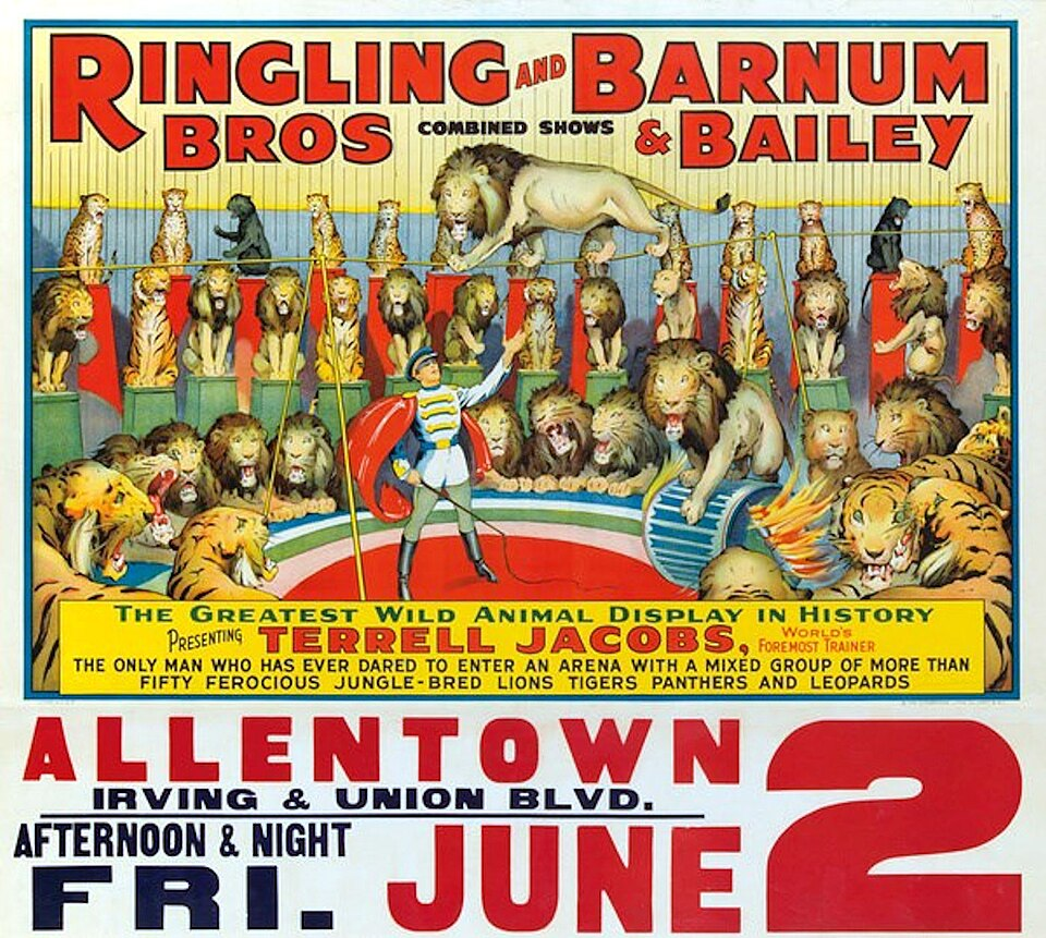 Circus