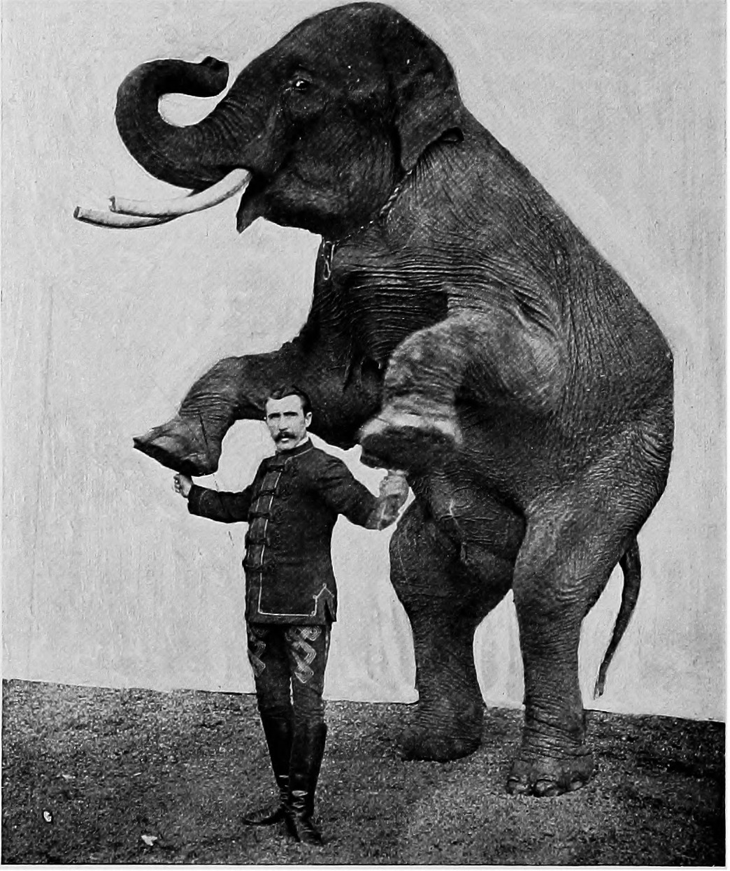 Circus