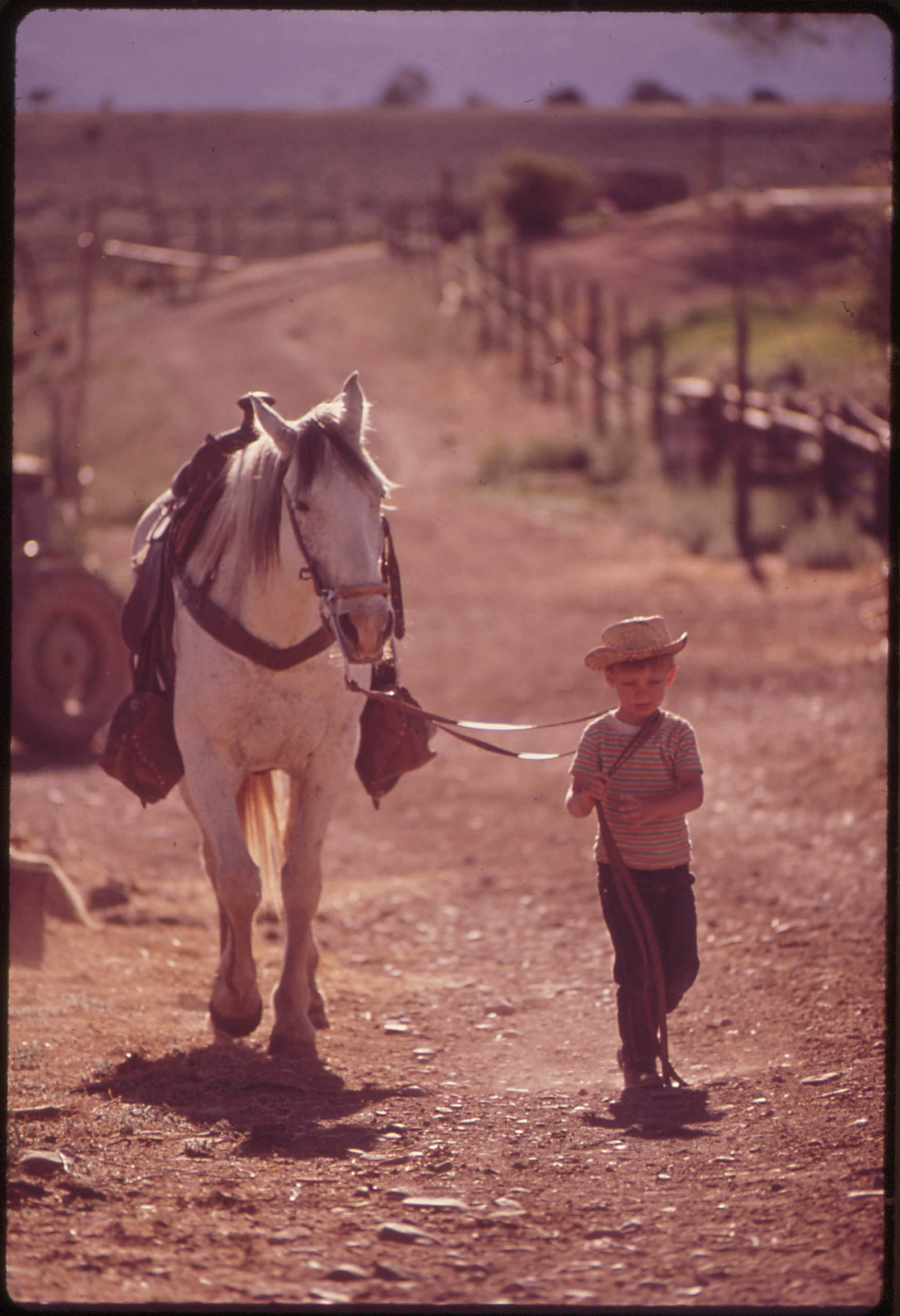 Ranch