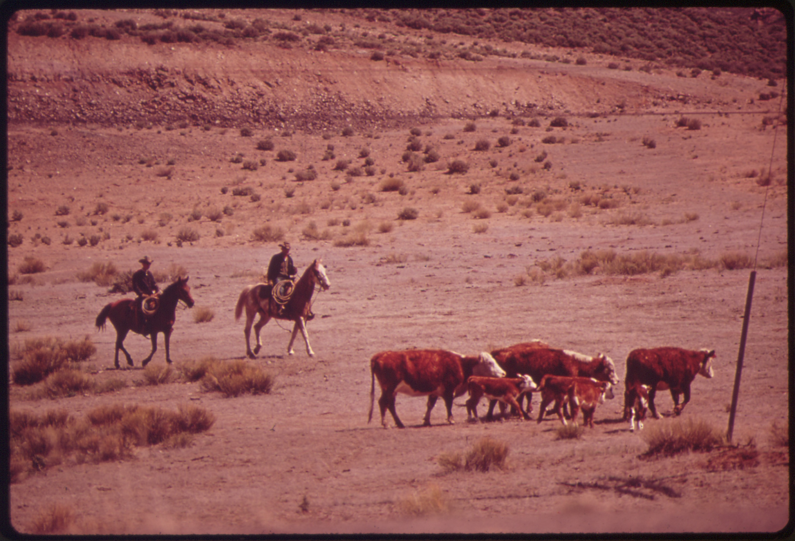 Ranch