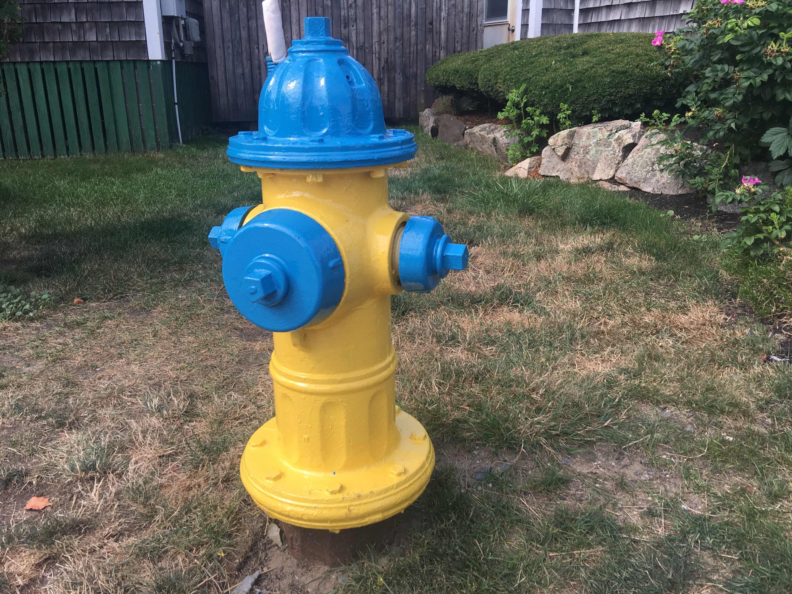 Fire Hydrant