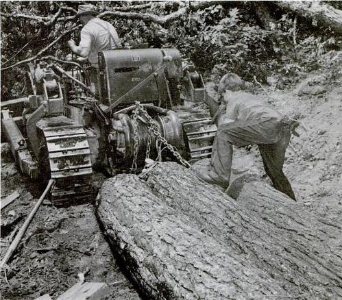 Logging Camp